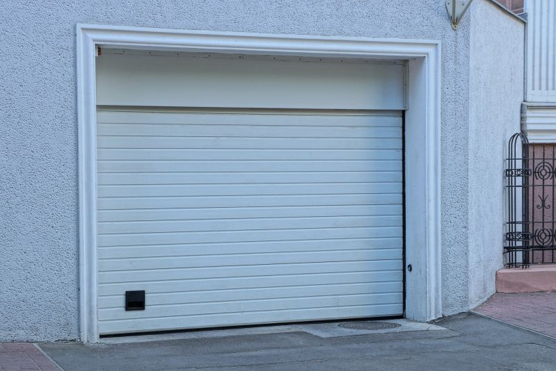 Garage Door Painting